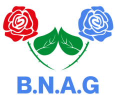 cropped-BNAG-Logo.png